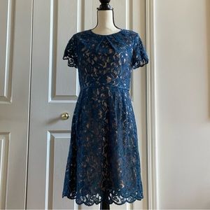 Adrianna Papell Blue Lace Knee Length Dress